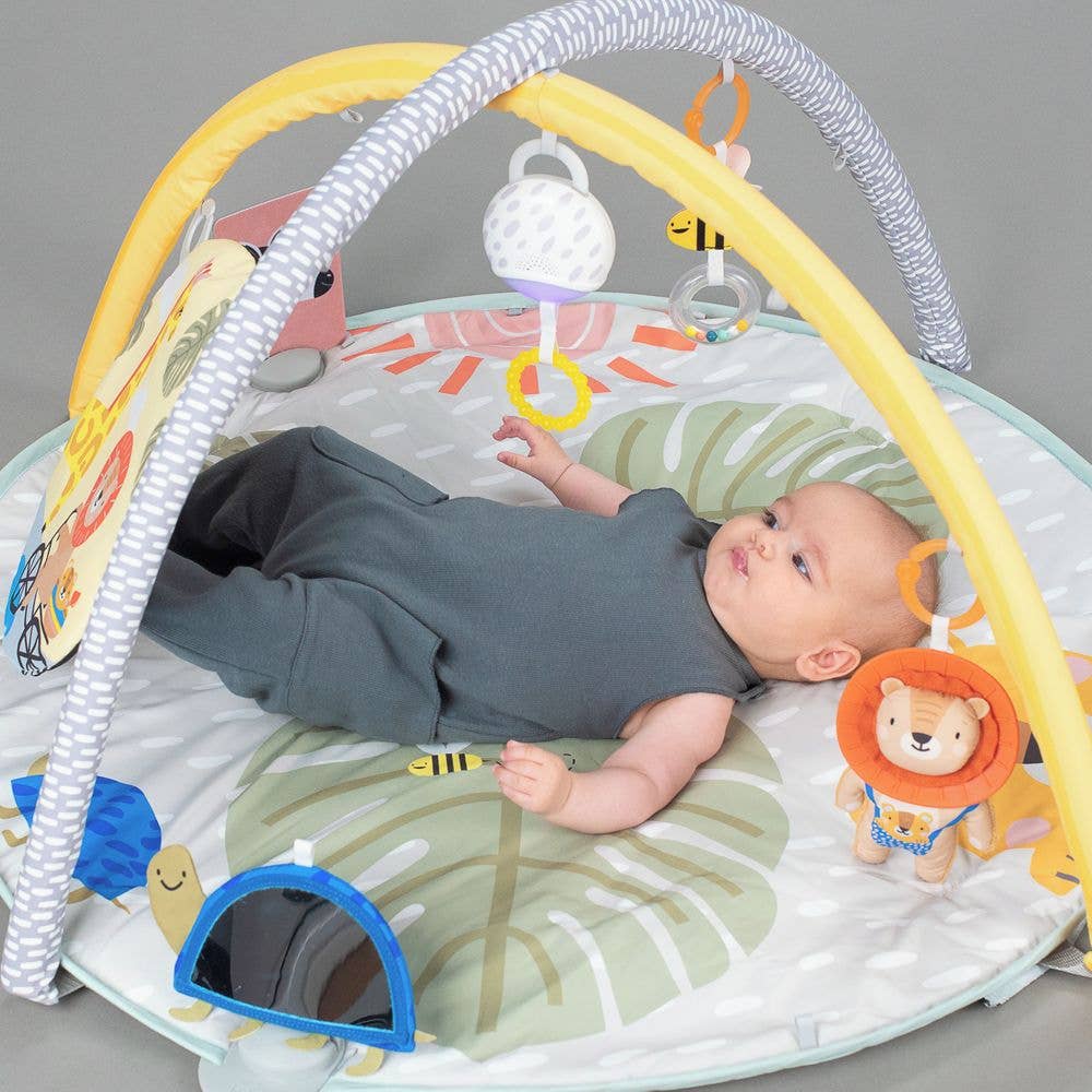 Savannah 360° Activity Gym