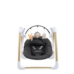 Oyster Home Swing- Carbonite