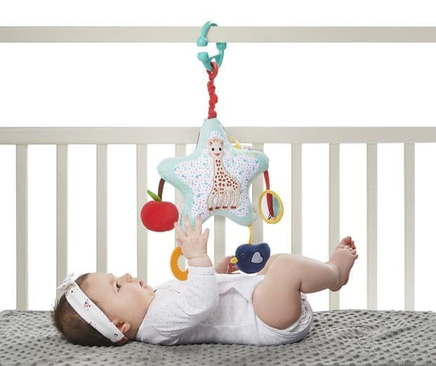 Sophie The Giraffe Star Activities II